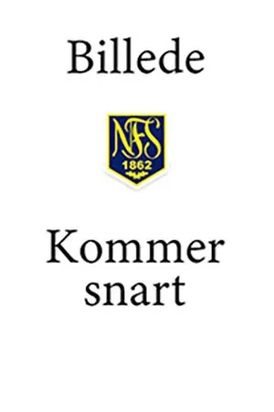 midlertidig billede